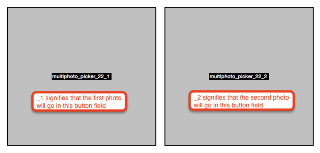 Screen_Shot_2022-01-13_at_8.59.08_AM.png